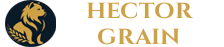 ТОВ «Гектор Грейн» |  Limited Liability «Hector Grain»